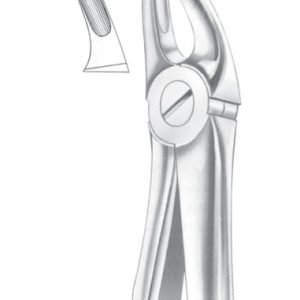 Extracting Forceps English Pattern