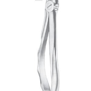 Extracting Forceps English Pattern
