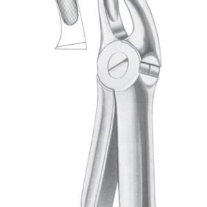 Extracting Forceps English Pattern