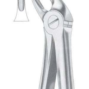 Extracting Forceps