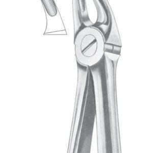 Extracting Forceps