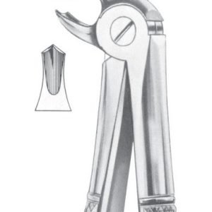 Extracting Forceps