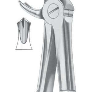 Extracting Forceps