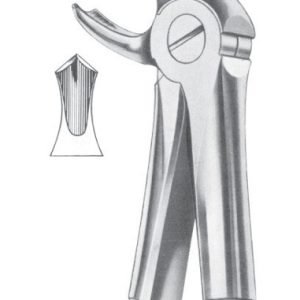 Extracting Forceps