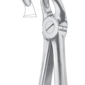 Extracting Forceps